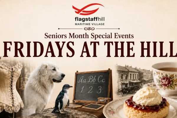 Seniors Special Event