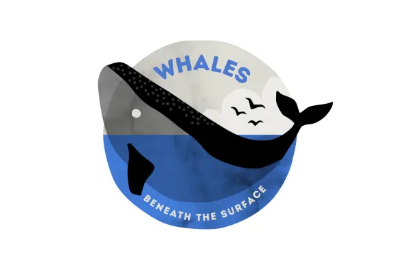 Whales Beneath the Surface exhibition logo