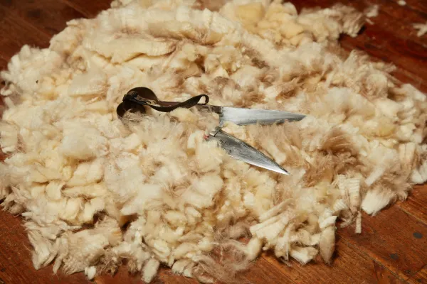 shears